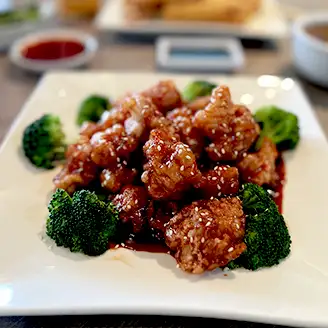 Chinese Food Sweet and Sour Chicken